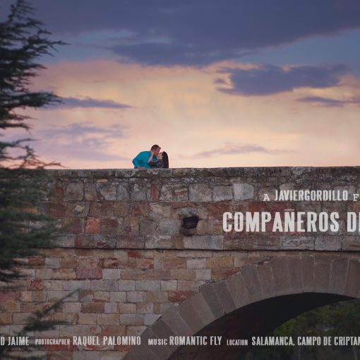 COMPAÑEROS DE VIAJE